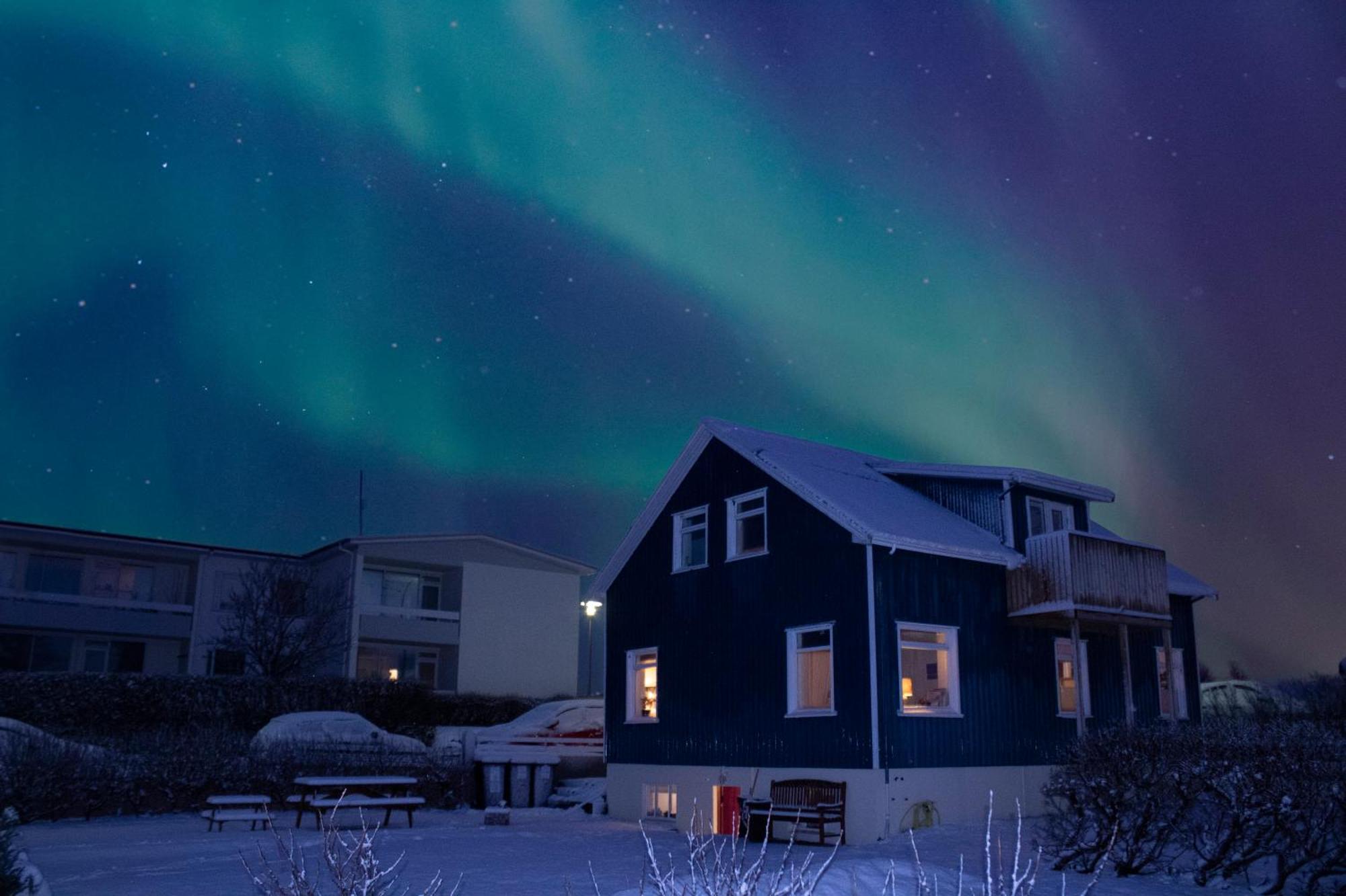Blue House B&B Seltjarnarnes Exteriör bild